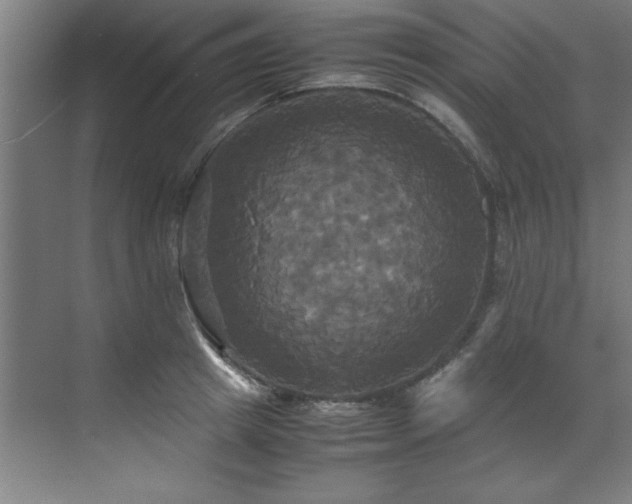 X0000072520849200607141156