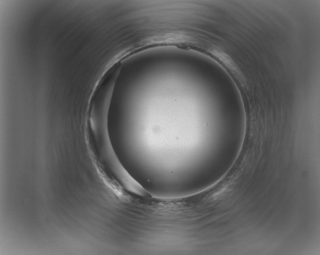 X0000072520850200607141156