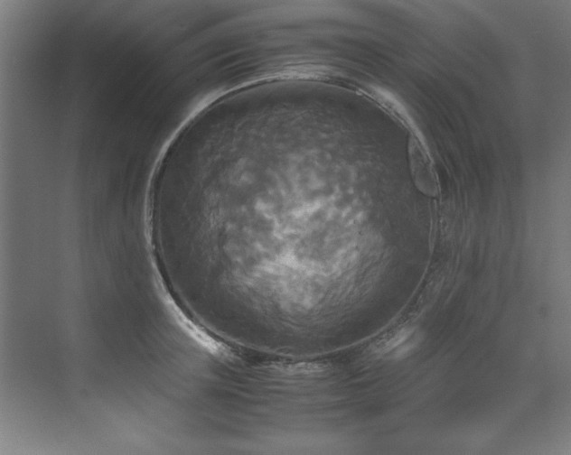 X0000072520851200607141156