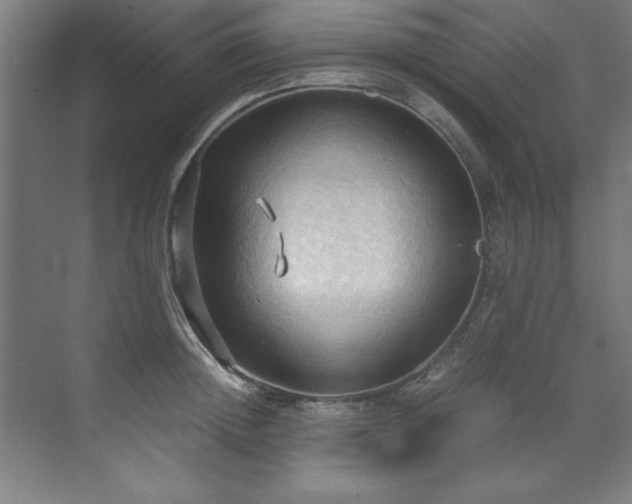 X0000072520852200607141156