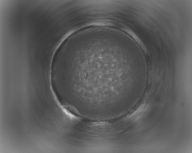 X0000072520853200607141156