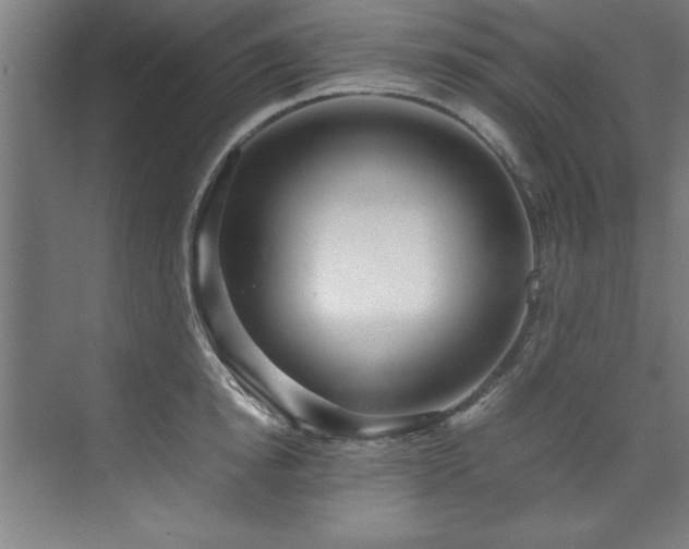 X0000072520854200607141156