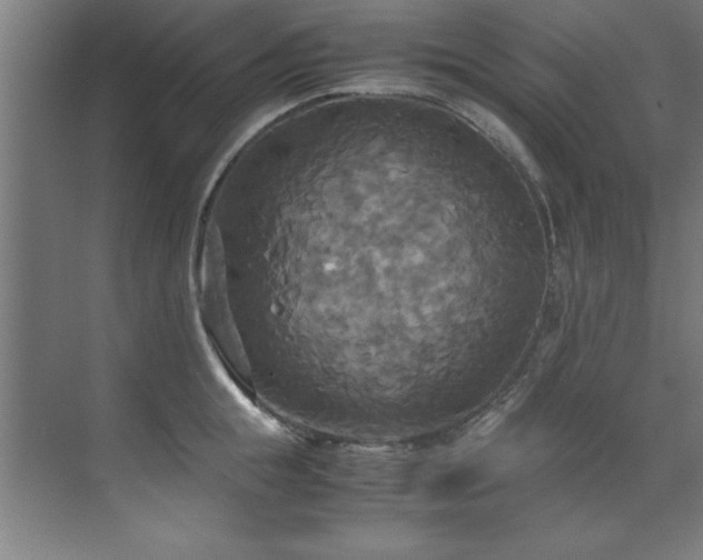 X0000072520855200607141156