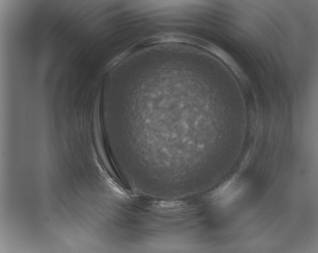 X0000072520857200607141156