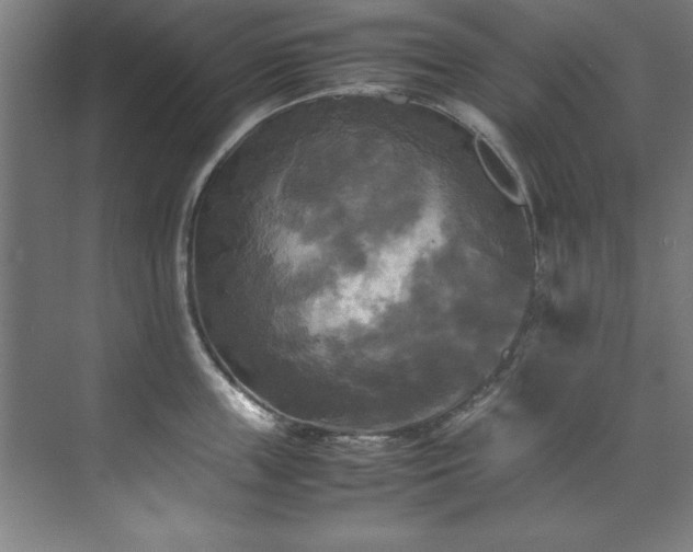 X0000072520859200607141156