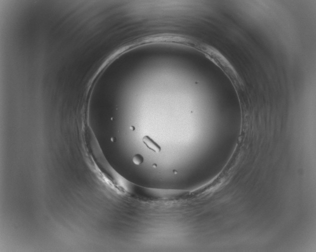 X0000072520860200607141156