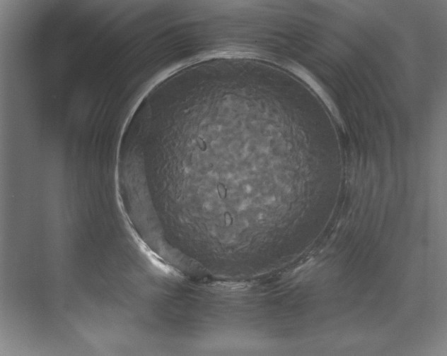 X0000072520861200607141156