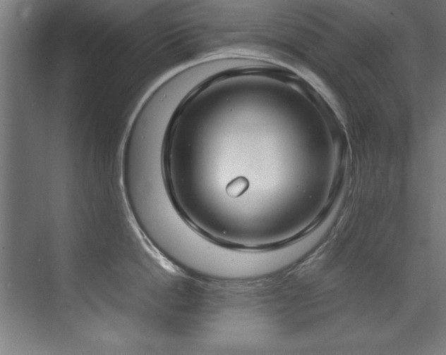 X0000072520862200607141156