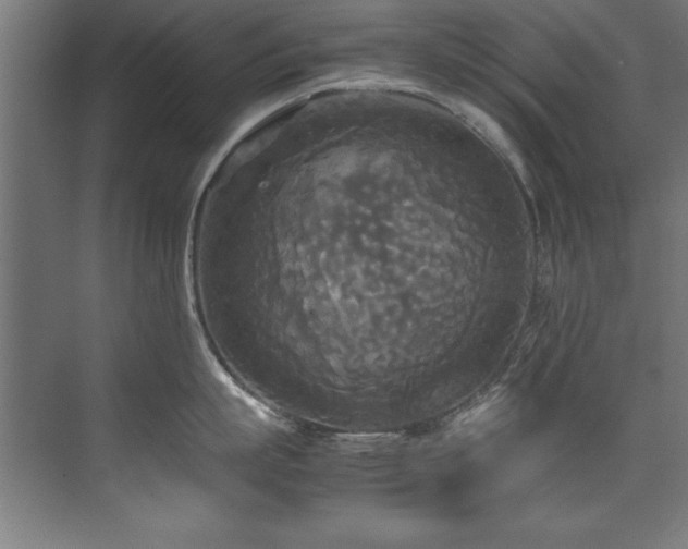 X0000072520863200607141156