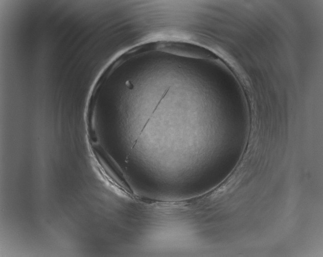 X0000072520864200607141156