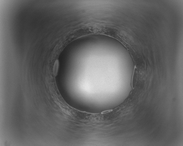 X0000072520865200607141155