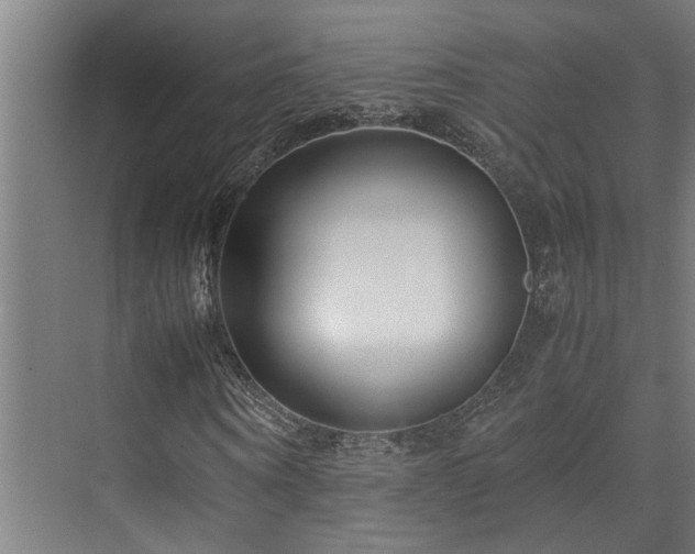 X0000072520866200607141155