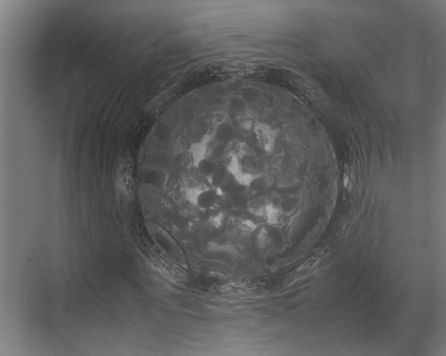 X0000072520867200607141155