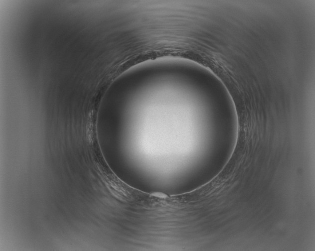 X0000072520868200607141155