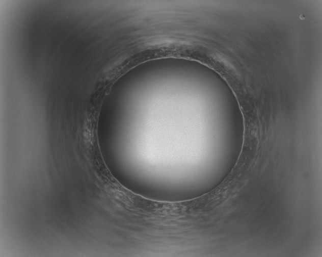 X0000072520869200607141155