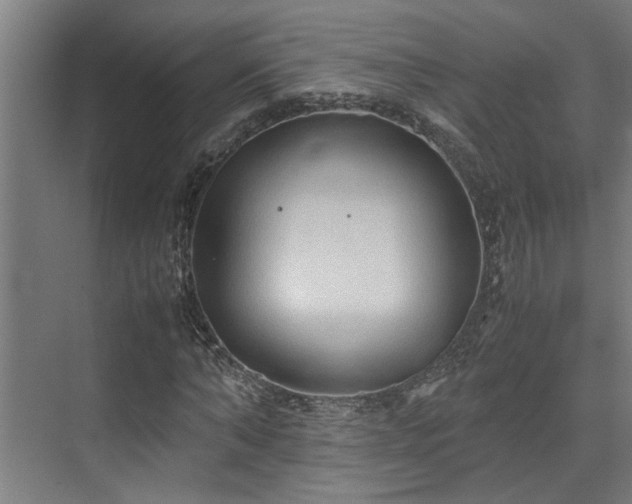 X0000072520870200607141155