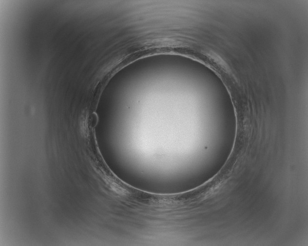 X0000072520873200607141155