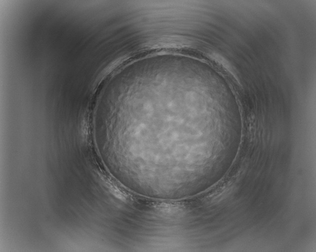 X0000072520874200607141155