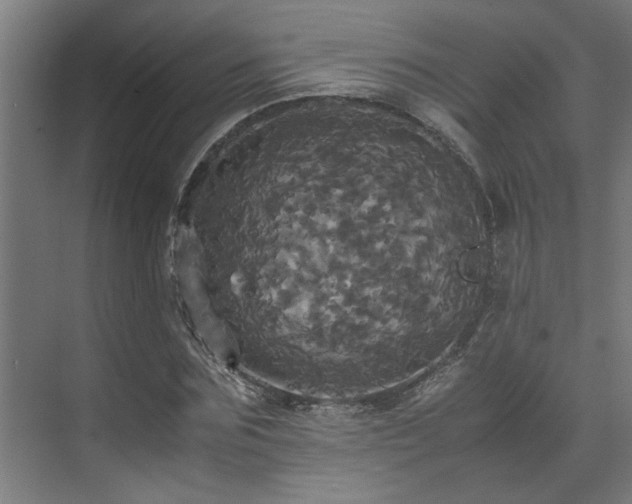 X0000072520875200607141155