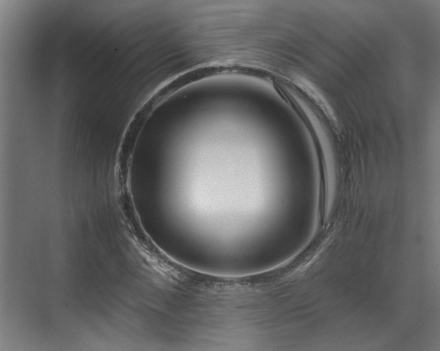 X0000072520876200607141155