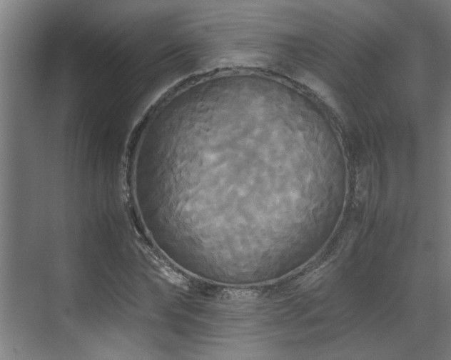 X0000072520878200607141155