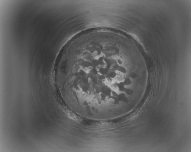 X0000072520879200607141155