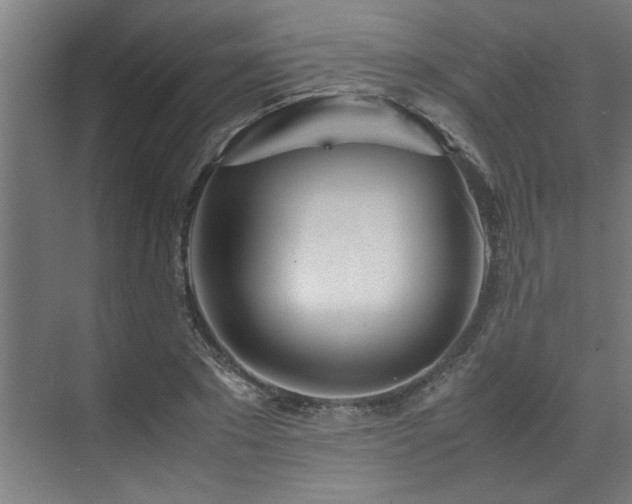 X0000072520881200607141155