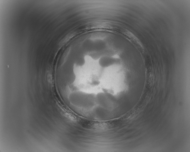 X0000072520882200607141155