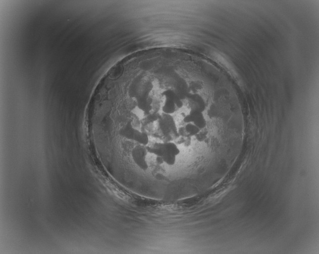 X0000072520883200607141155