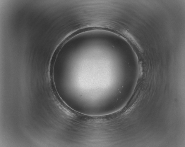 X0000072520884200607141155