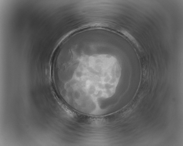 X0000072520886200607141155