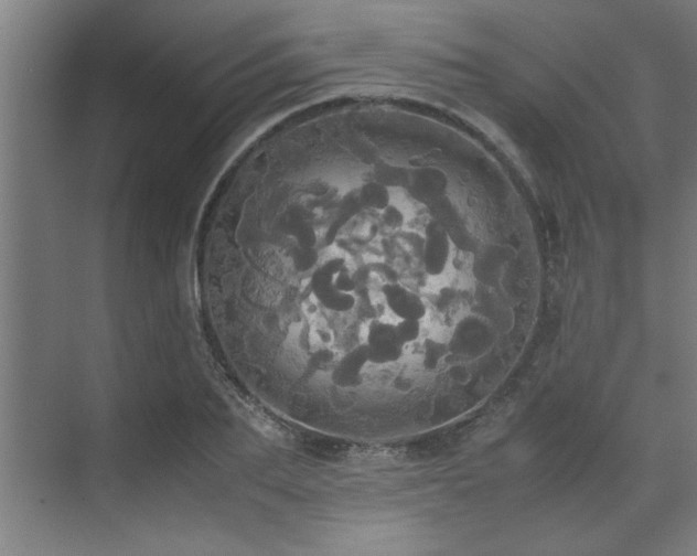 X0000072520887200607141155