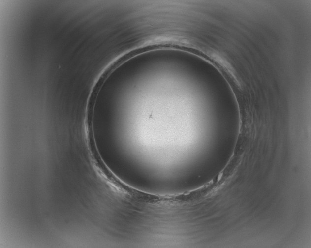 X0000072520888200607141155