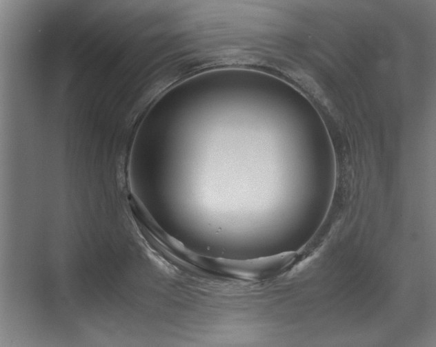 X0000072520889200607141155