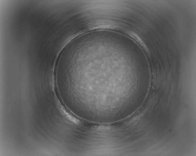 X0000072520890200607141155