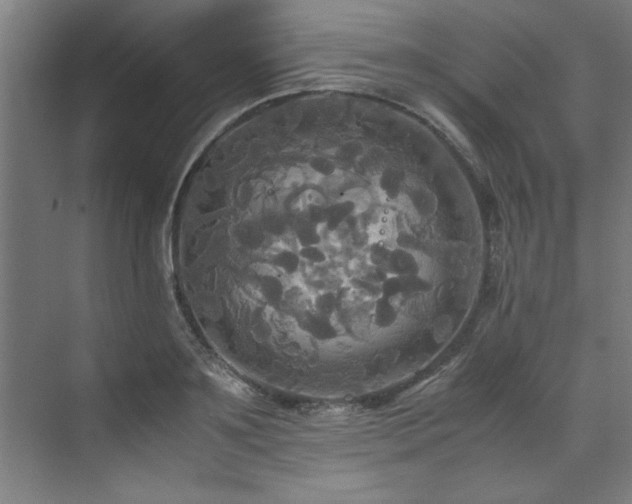 X0000072520891200607141155