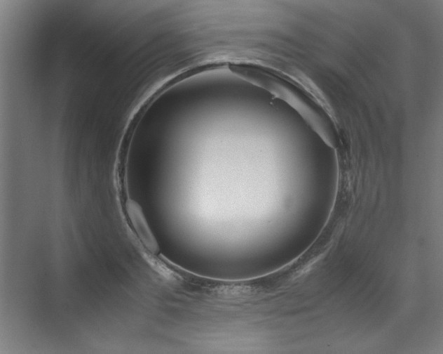 X0000072520893200607141155