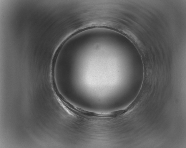 X0000072520894200607141155