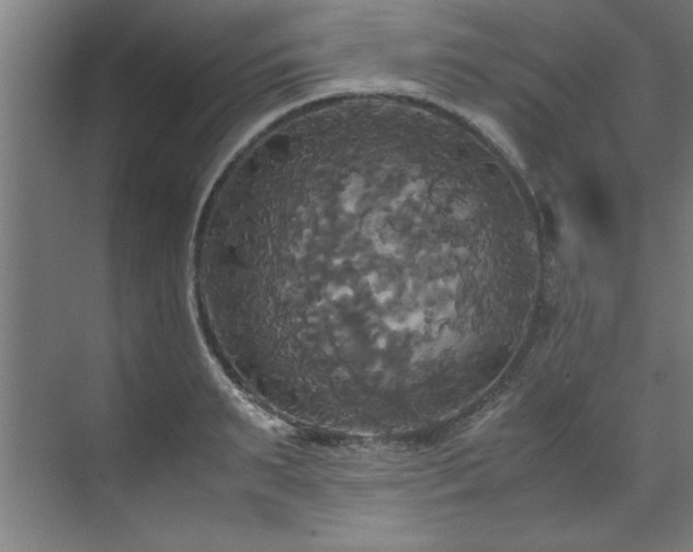 X0000072520895200607141155