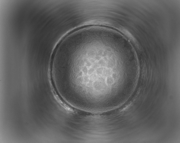 X0000072520896200607141155