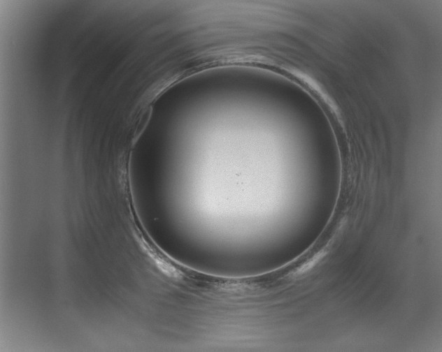 X0000072520897200607141155