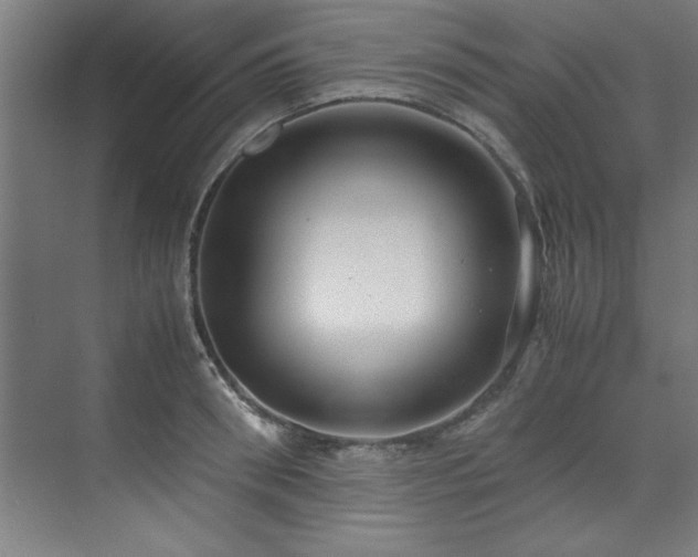 X0000072520898200607141155