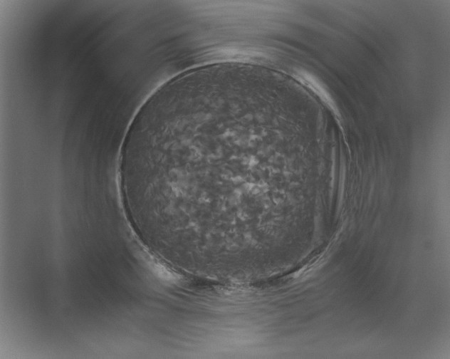 X0000072520899200607141155