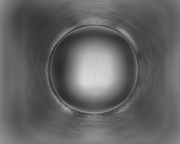 X0000072520901200607141155