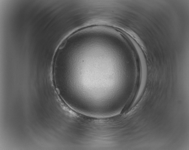 X0000072520904200607141155