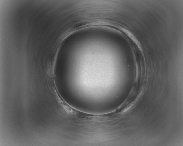 X0000072520905200607141155