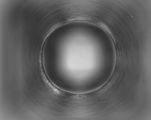 X0000072520906200607141155