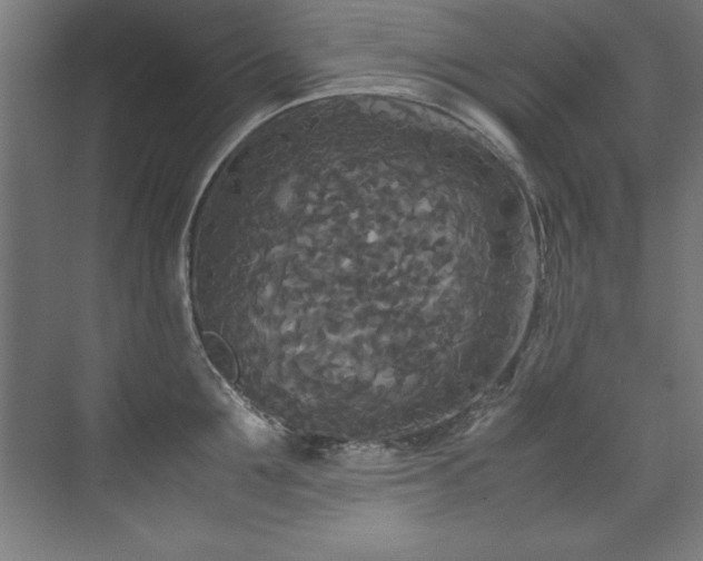 X0000072520907200607141155