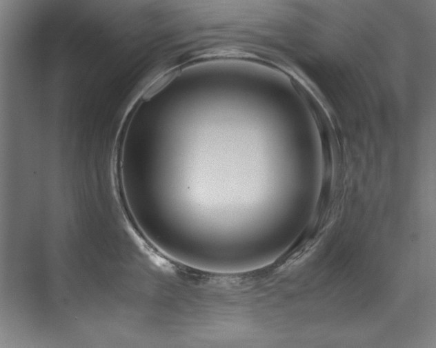 X0000072520909200607141155