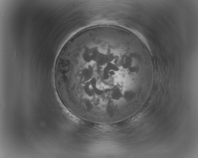 X0000072520911200607141154